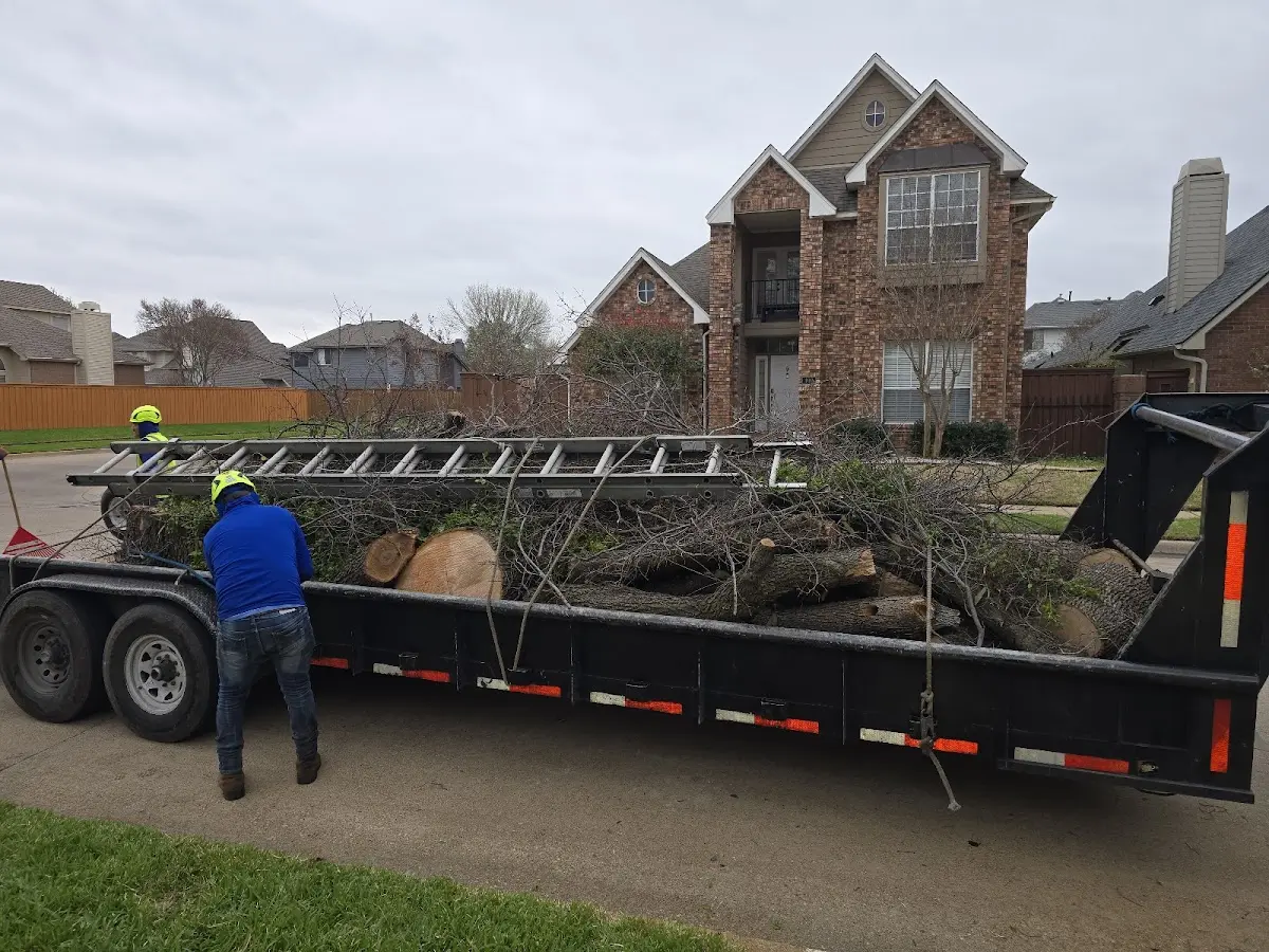 Expert Tree Removal with proper safety equipment in Whitehall